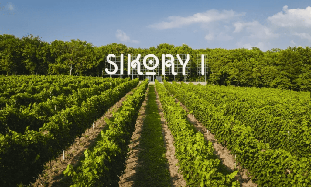 индивидуальная экскурсия с анапы в винодельню сикоры